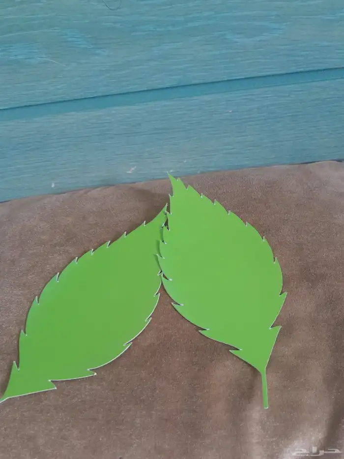 مصمم جرافيك.طباعه 4