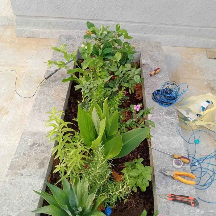 تنسيق حدائق 1