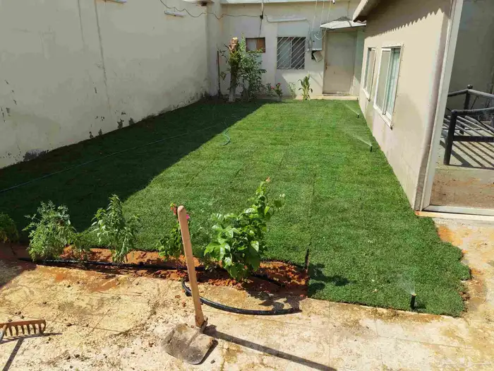 ثيل طبيعي سي 2000 درجه اولى 0