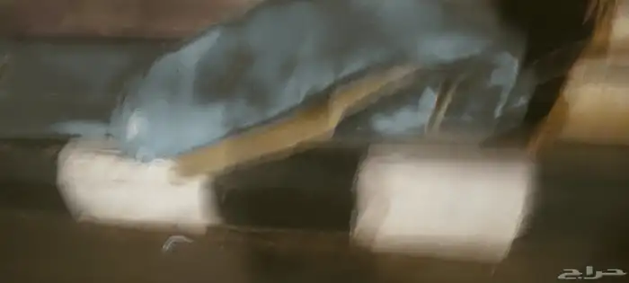 فراشه 4 x 4 وعشر مساند للبيع 2