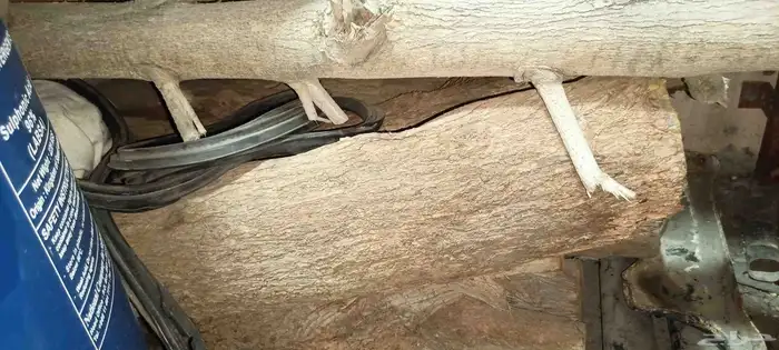 مشروعك جاهز منقله حطب غواري اكواب شاي 4