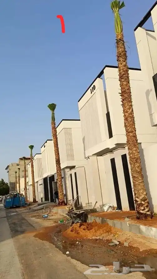 نخيل.للبيع.وتركيب.الشبوك 12