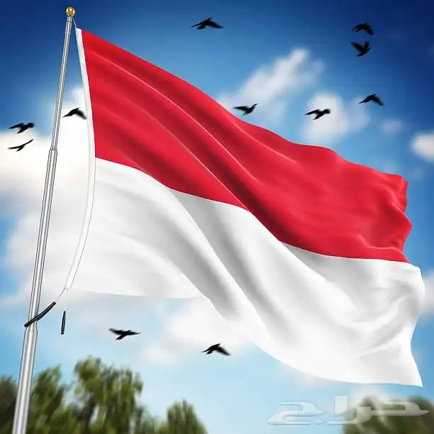 تأشيرة إندونيسيا السياحية بدون طلبات للمقيم وغير المقيم 2