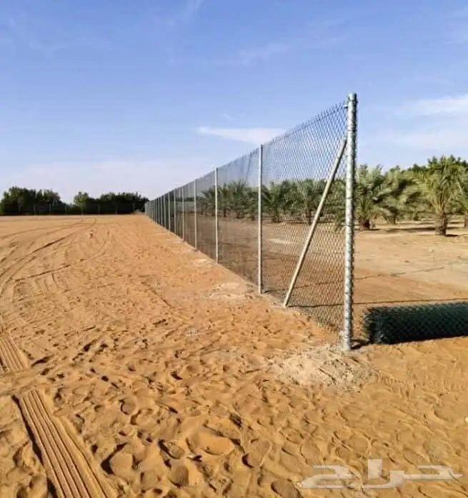 شبوك 1