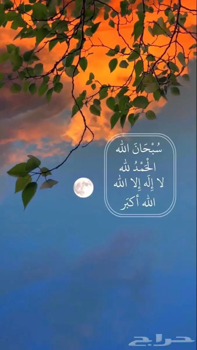 مطلوب شقه للاجار يكون دفع شهري من 1300الى 1600 0