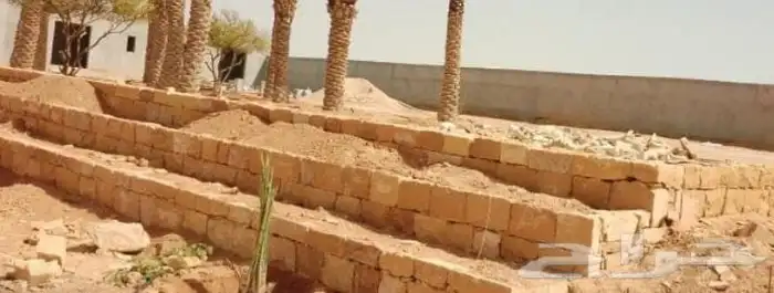 نخل مزراع الغاط المجمعه الزلفي سدير توصيل جميع مناطق المملكة 9