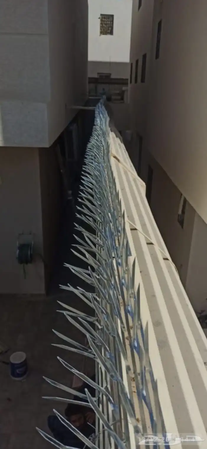 طارد حمام تركيب شبك و اشواك مانع الحمام 7