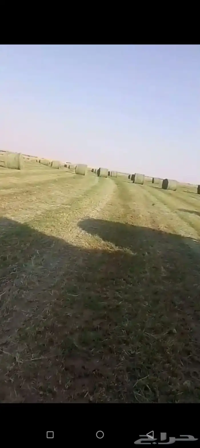 سلام عليكم ورحمة الله وبركاته 4