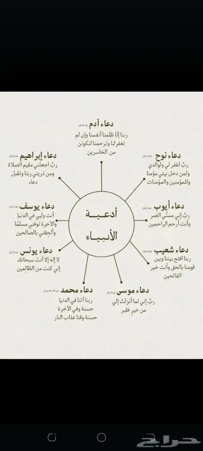 زاجل سباق نخبة أجواز منتجة وطبات جاهزة من هواه أبطال المملكة 7