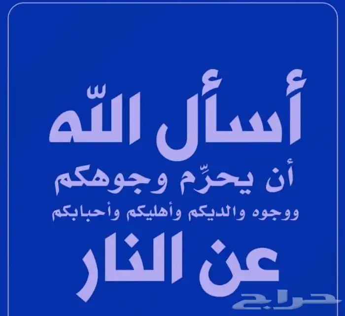 زاجل سباق نخبة أجواز منتجة وطبات جاهزة من هواه أبطال المملكة 9