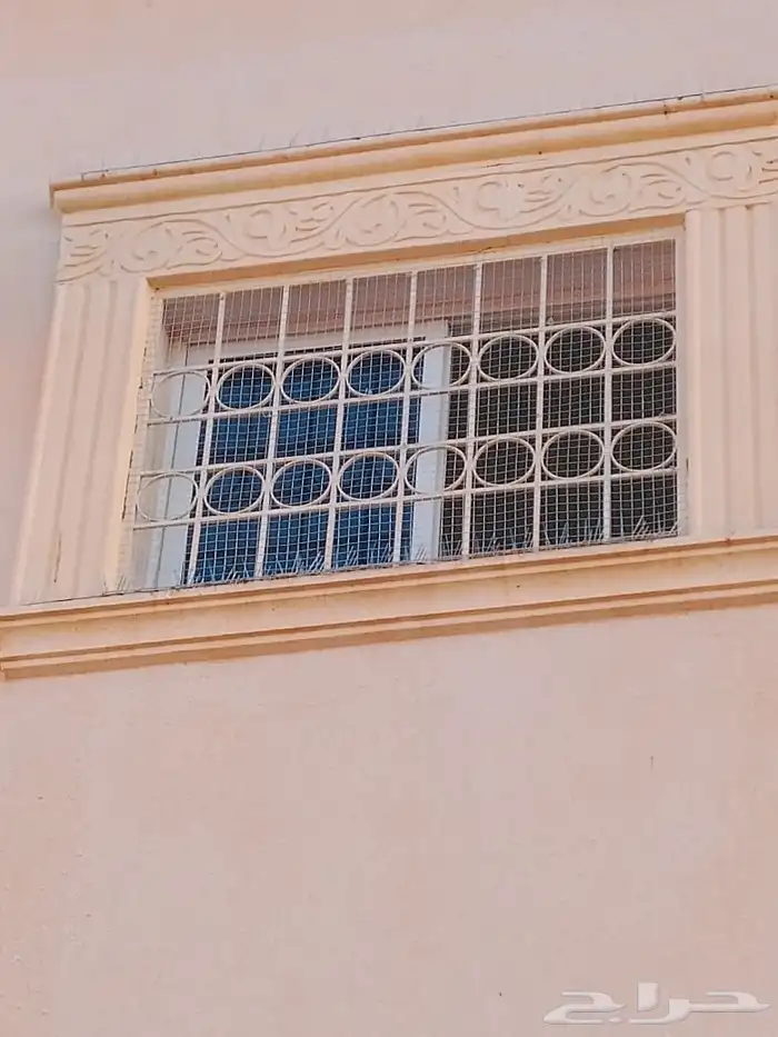 طارد حمام تركيب شبك و اشواك مانع الحمام 0