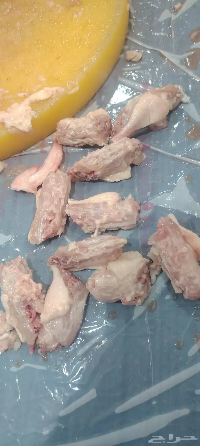 اكلا للكلاب نضيف وطازج 4