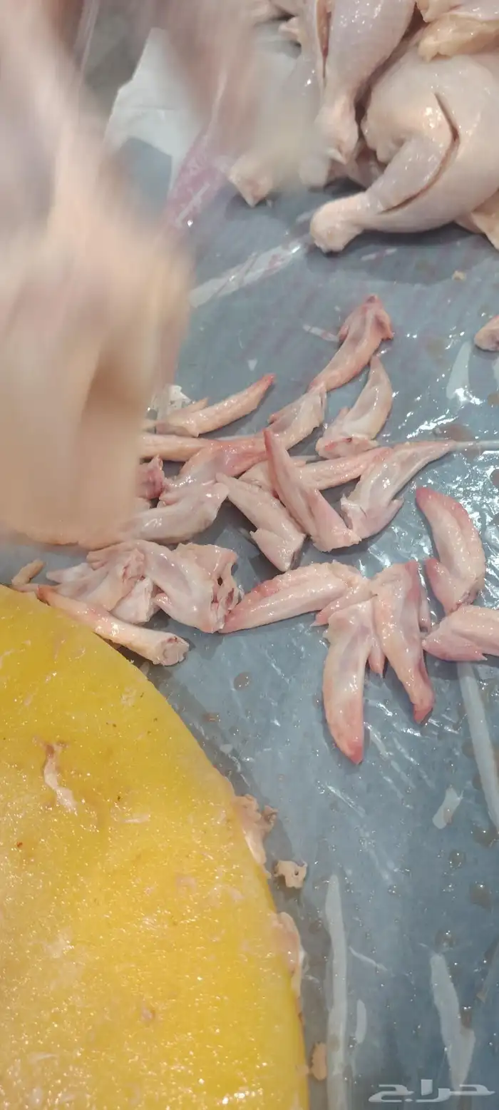 اكلا للكلاب نضيف وطازج 1