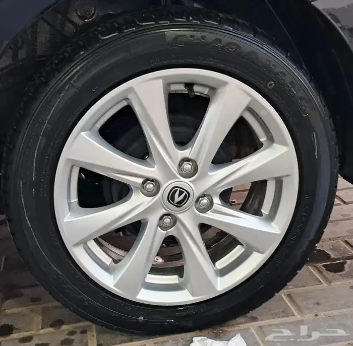 استبنة شانجان السفن جديدة 2024 0