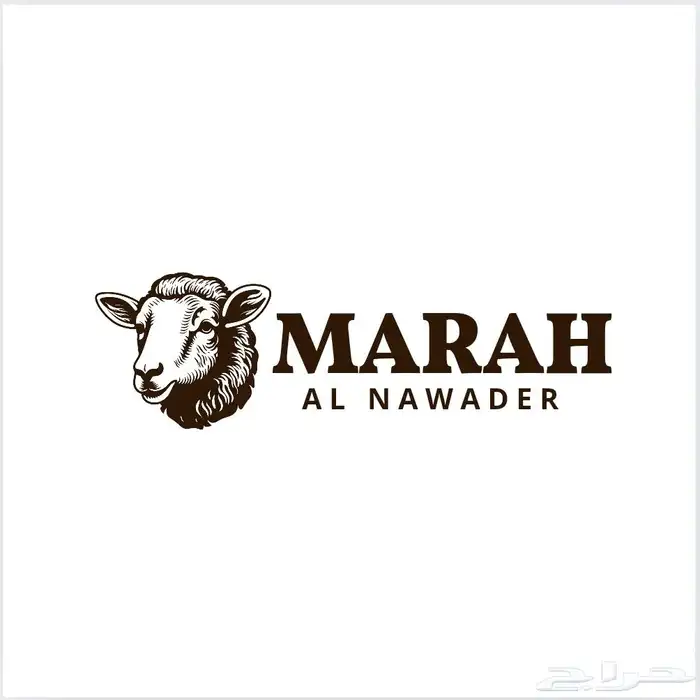 عروض تصميم جرافيكي 1