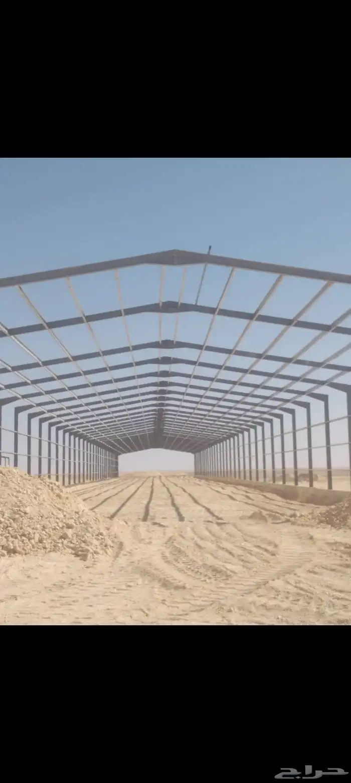 شبوك مزارع الاحساء 2