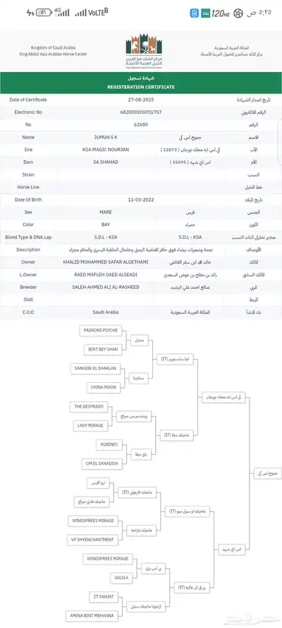 مهره index
