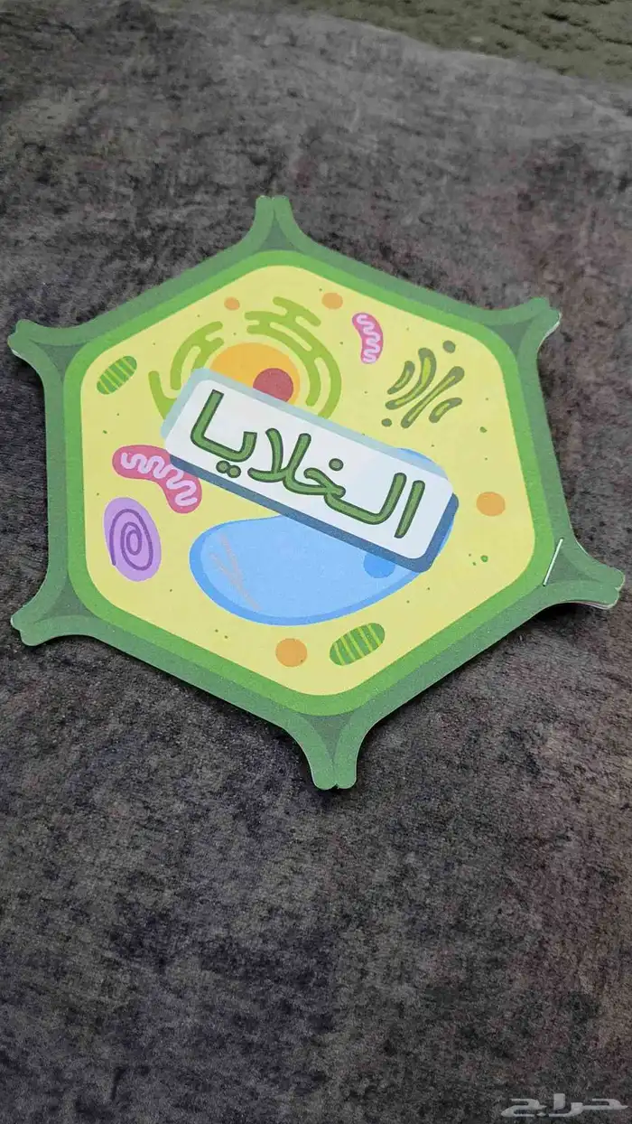 مطويات مدرسيه جاهزه وملف انجاز واعمال مدرسية 8