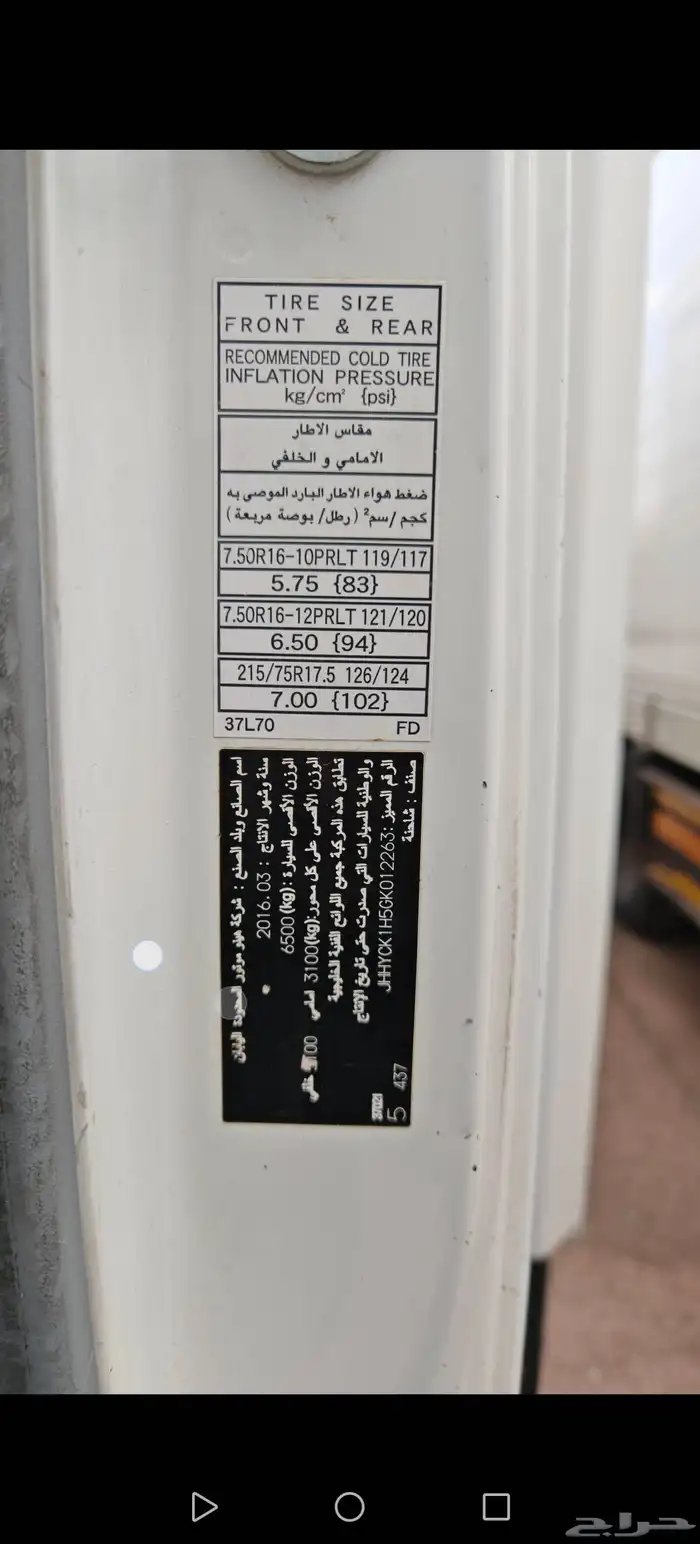 دينا هينو 2016 3