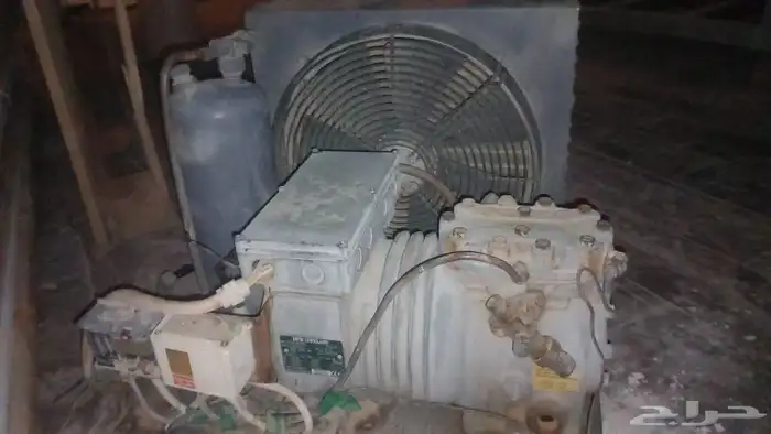 اثنين كمبروسرات كوبلاند ألماني حصان ونص نضيفه 1