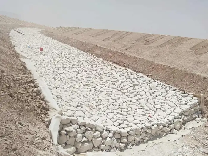 شبوك مزارع الاحساء 4