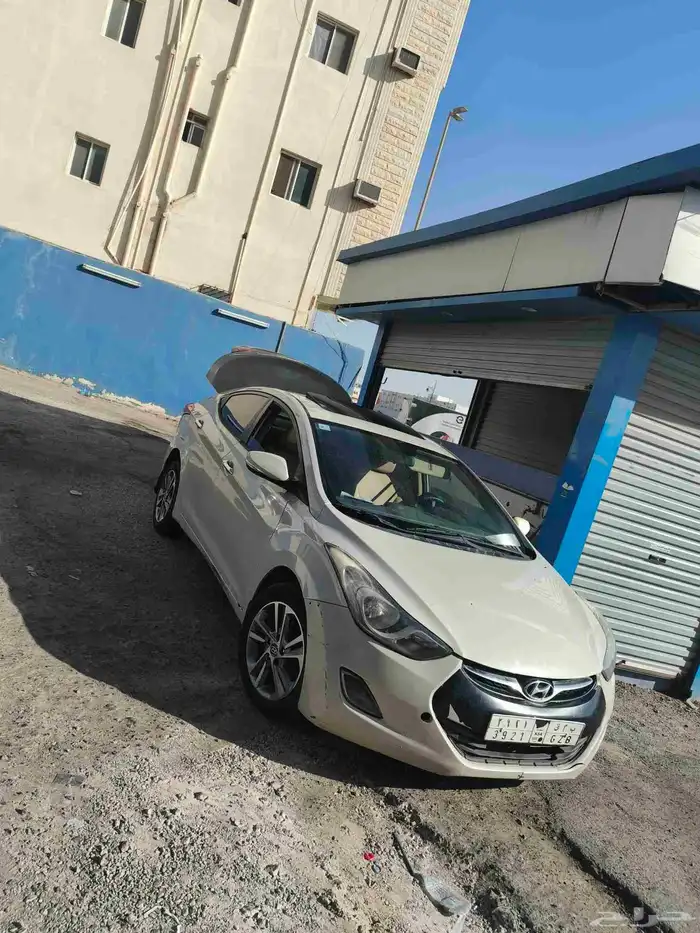 النترا 2013 4