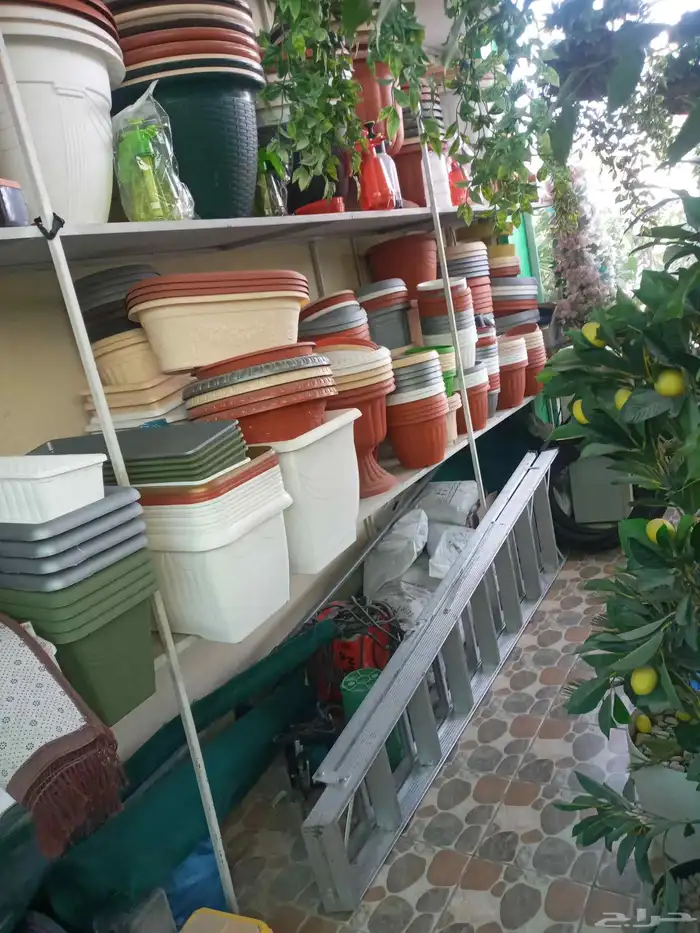 مشتل تنسيق حدائق 5