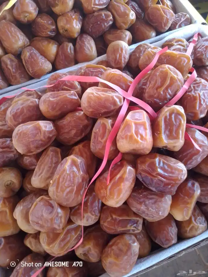 سكري مفتل ملكي 0