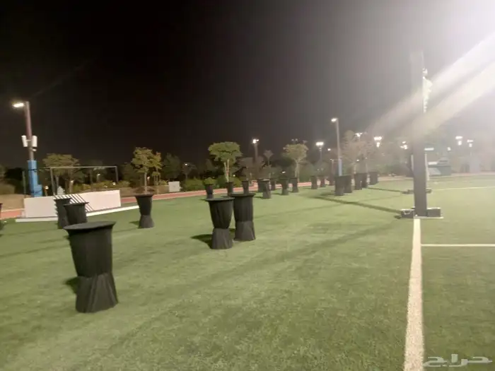 منسق حفلات 2