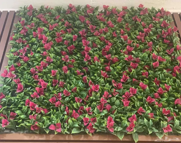 تنسيق حدائق التميز 3