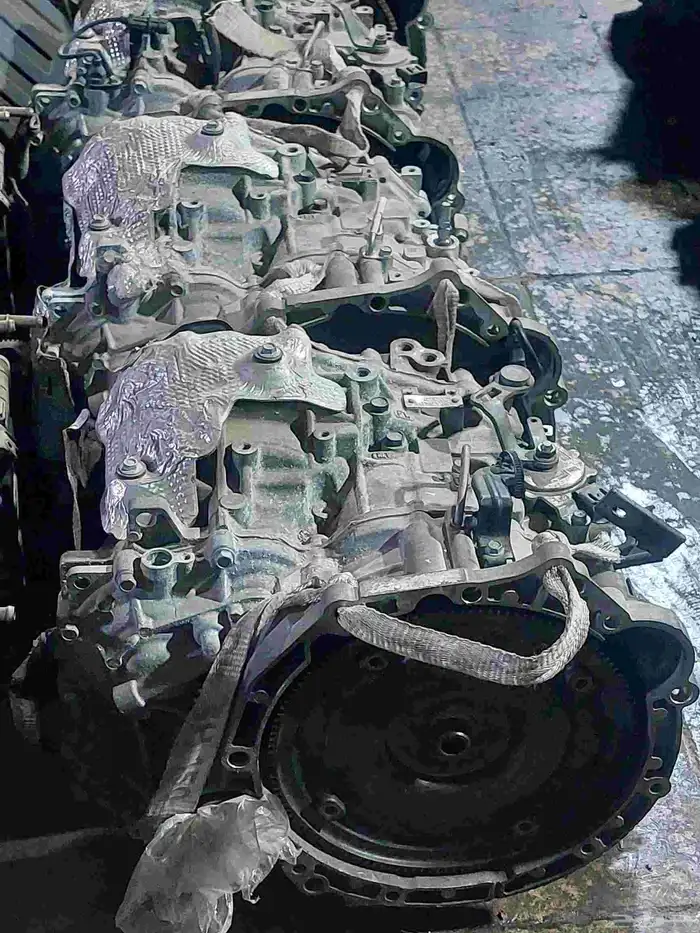 جيرات اكسنت 2024 1
