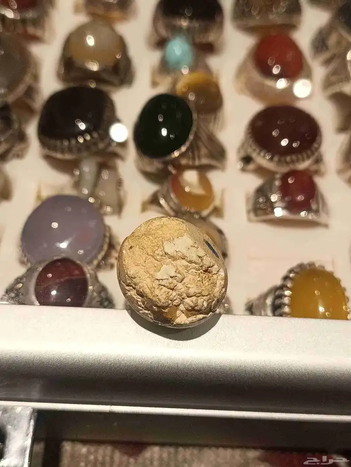 نيشابوري ابيض 1