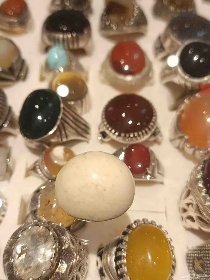 نيشابوري ابيض 0