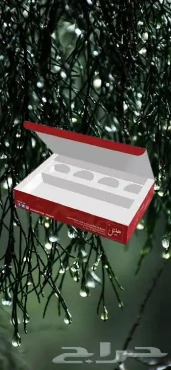 بوكسات وجبات 8