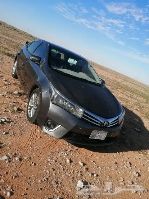 كورولا 2015 8