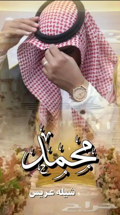 شيلات 2025 7