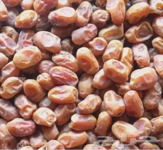 مطلوب تمر خلاص كميه بسعر معقول 0