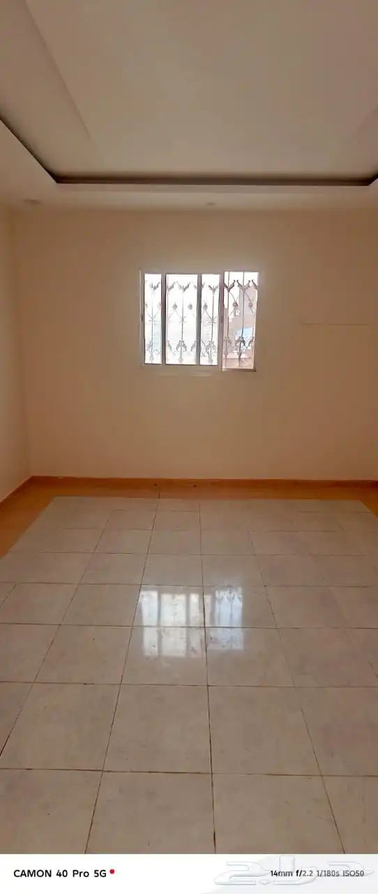 شقه عويل لا إيجار 7