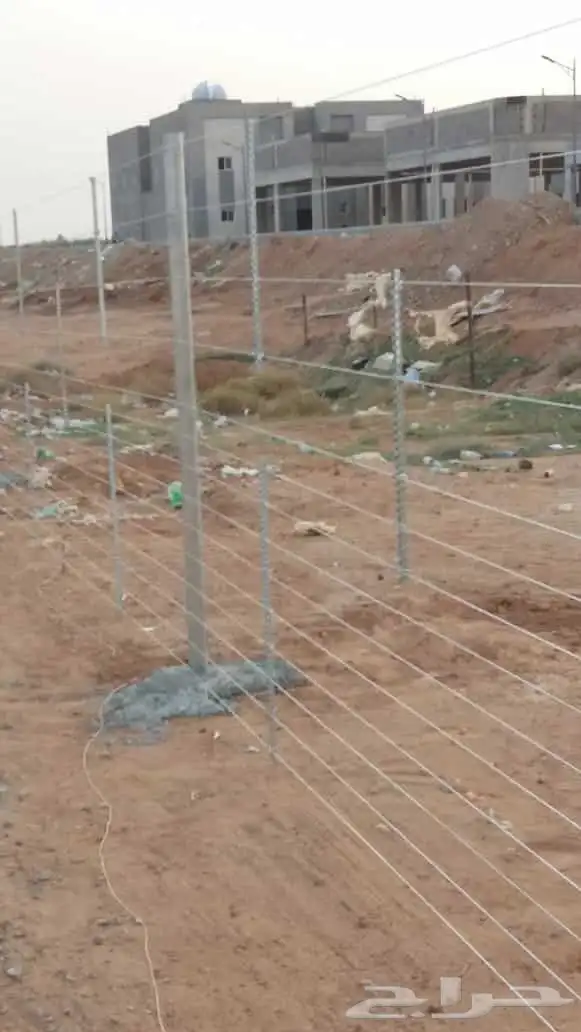 شبوك مزارع الاحساء 6