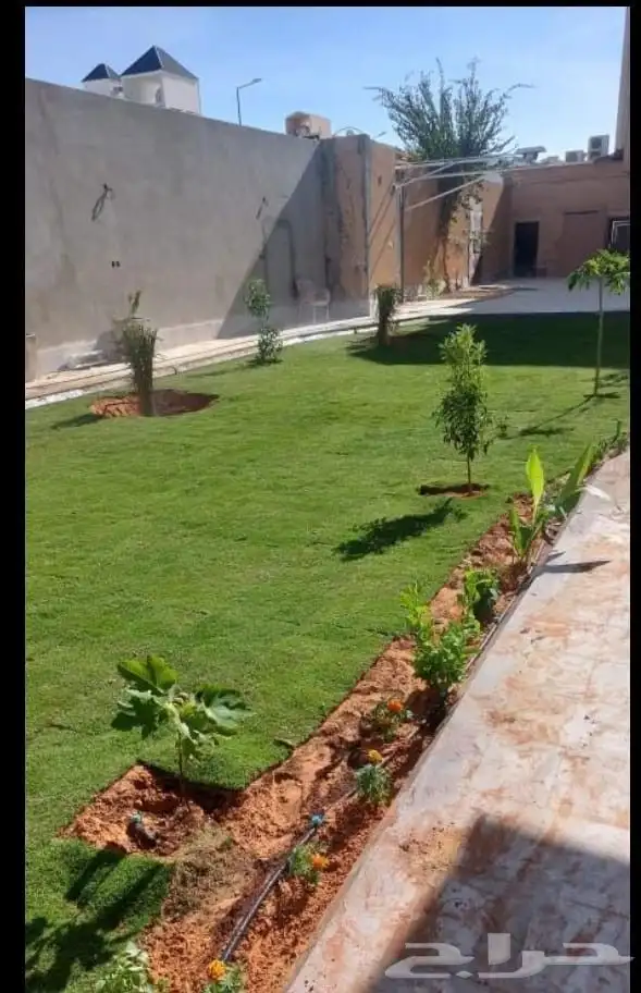 تنسيق حدائق و النباتات والأشجار الداخليه والخارجيه 0
