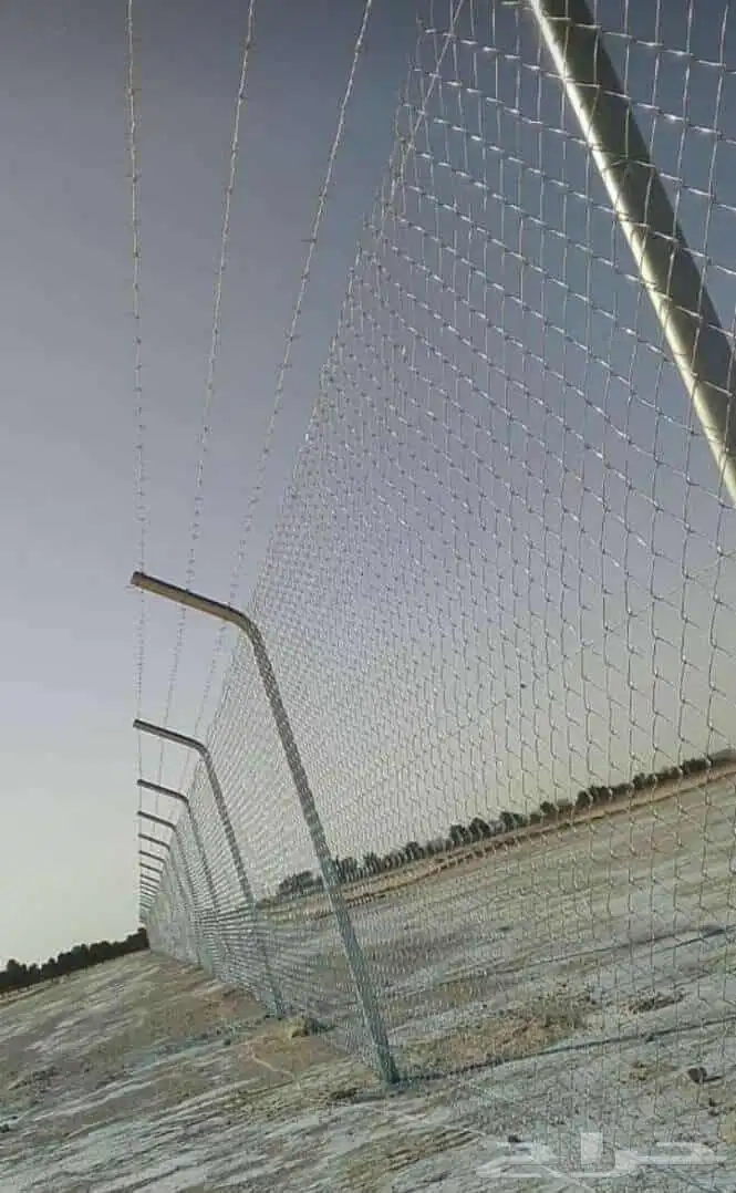 شبوك مزارع الاحساء 8