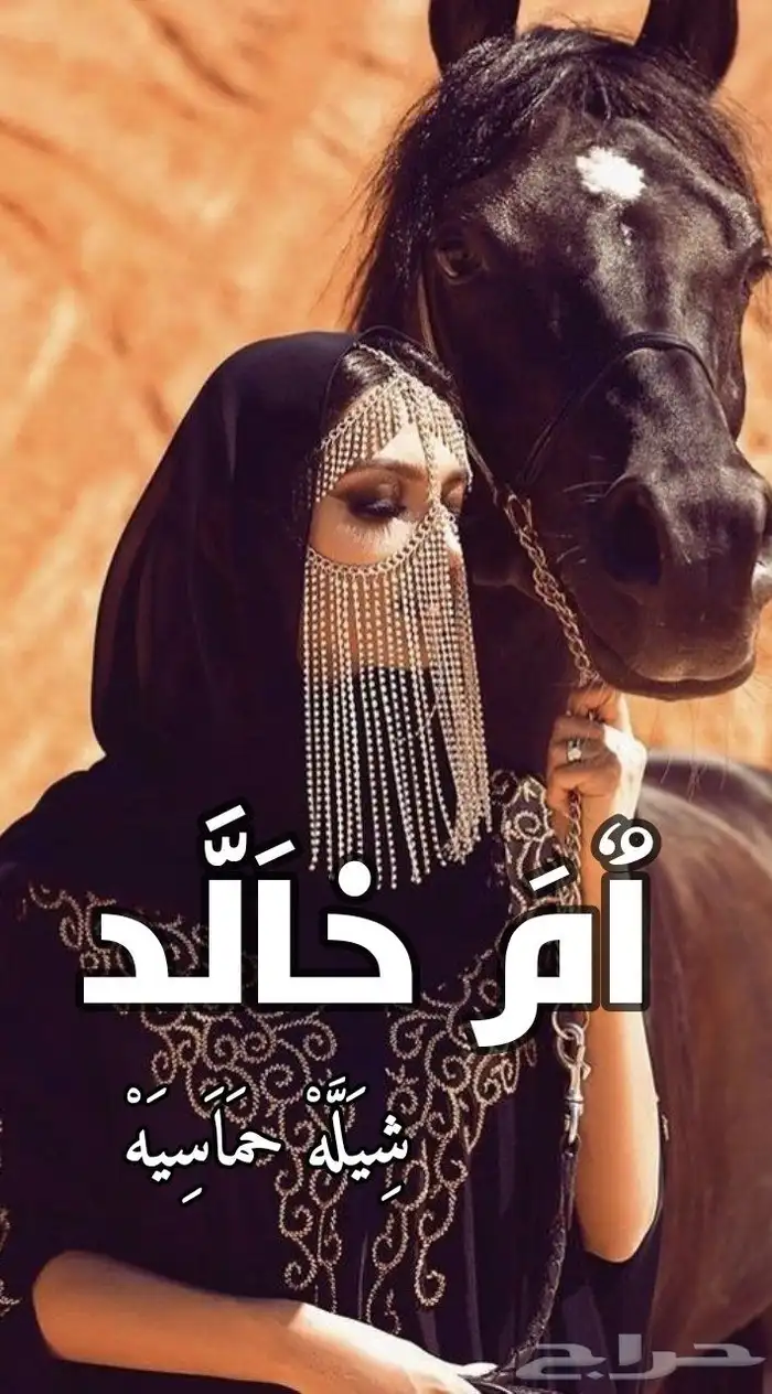 شيلات 2025 5