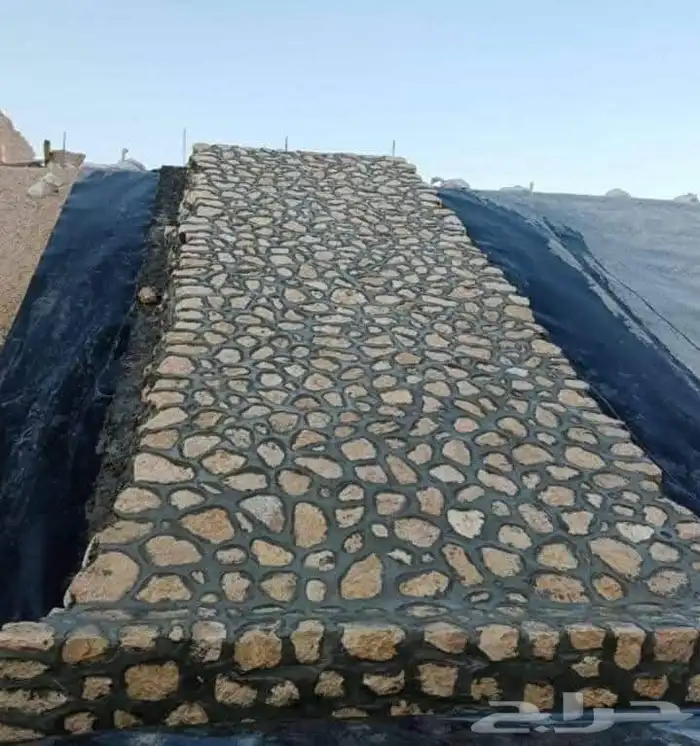 شبوك مزارع الاحساء 3