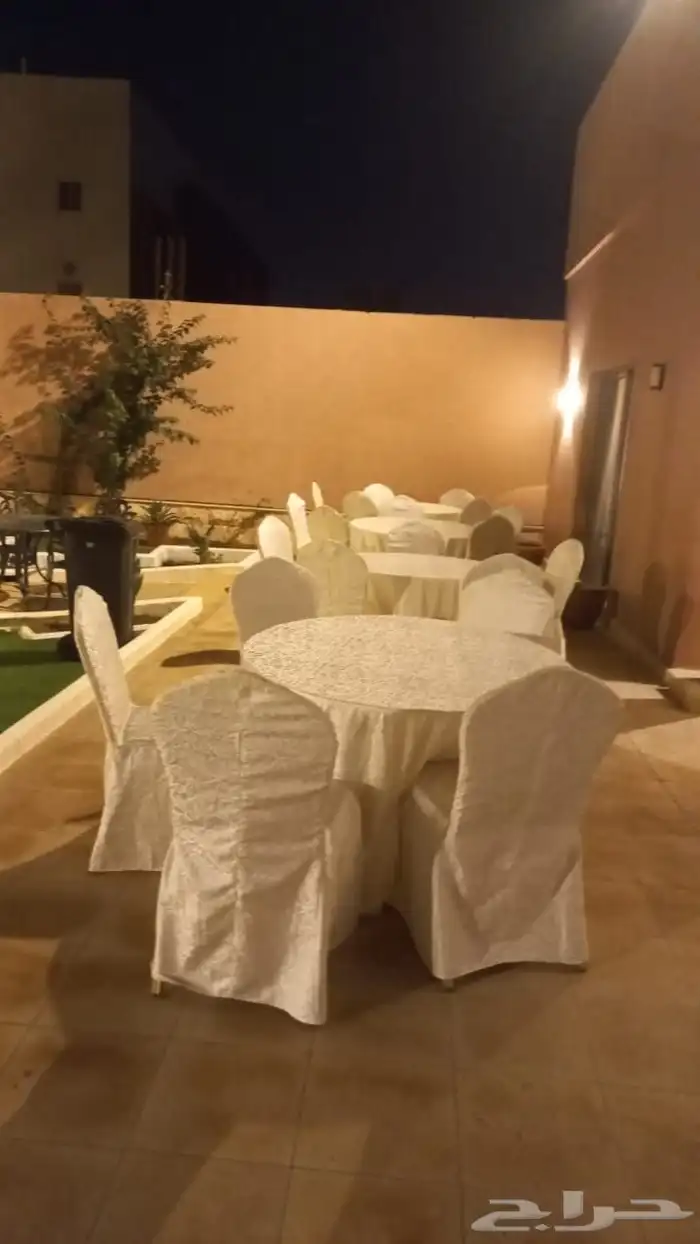 تأجير كراسي شفافة و ذهبي 1