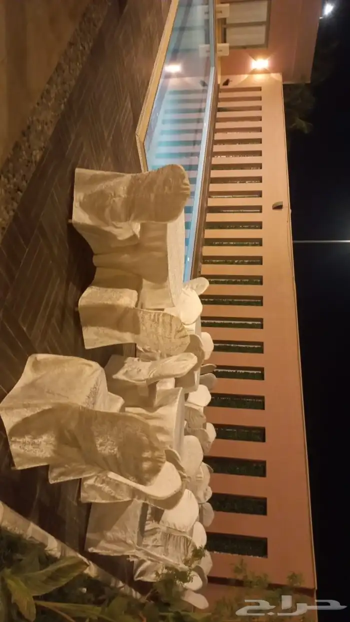 تأجير كراسي شفافة و ذهبي 2