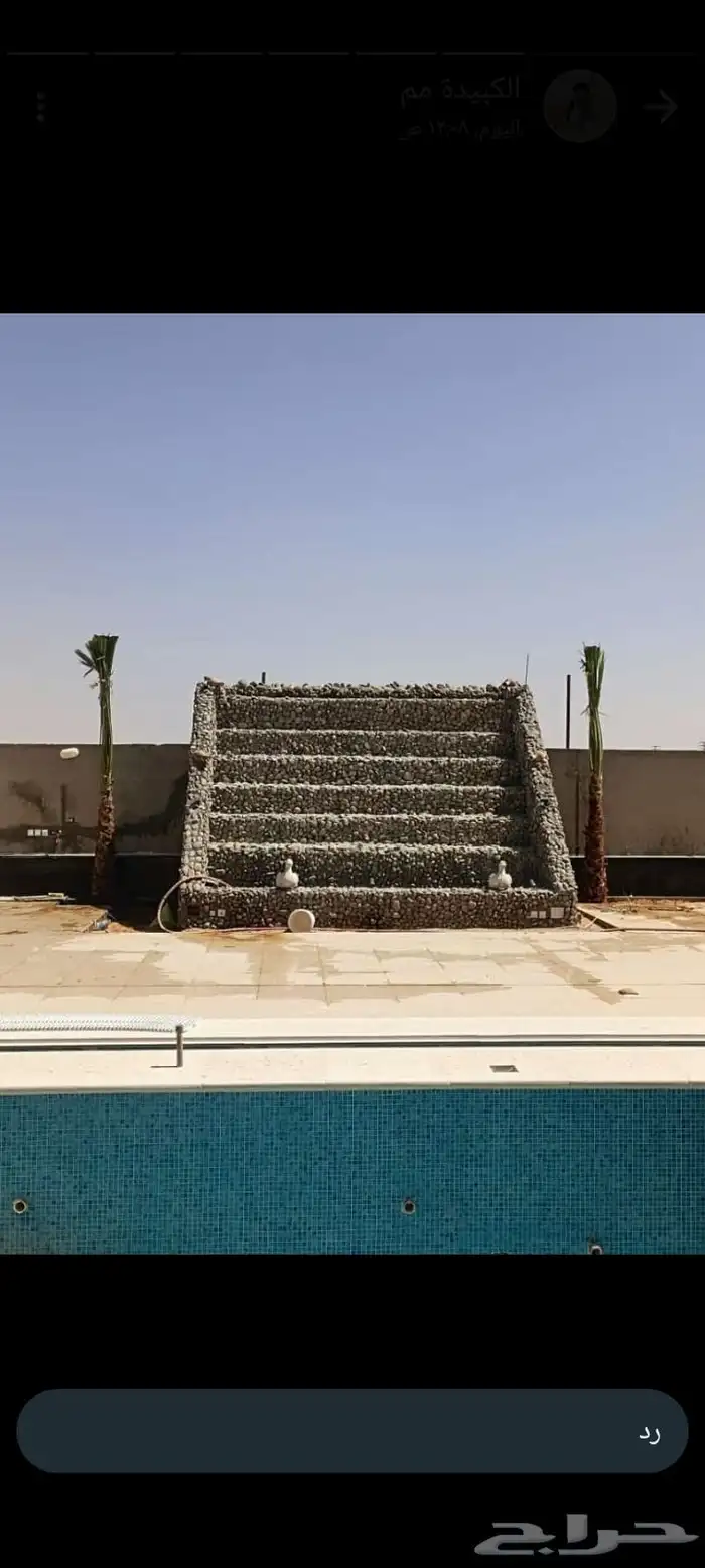 نخيل 2