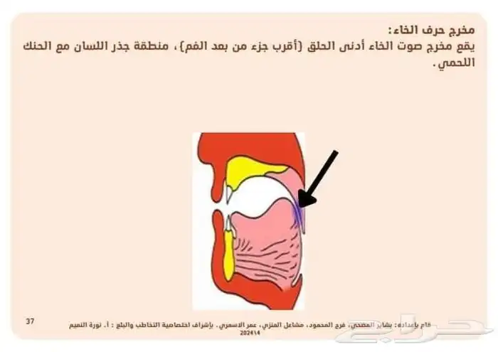 اخصائي تخاطب وتنمية مهارات وتعديل سلوك 0