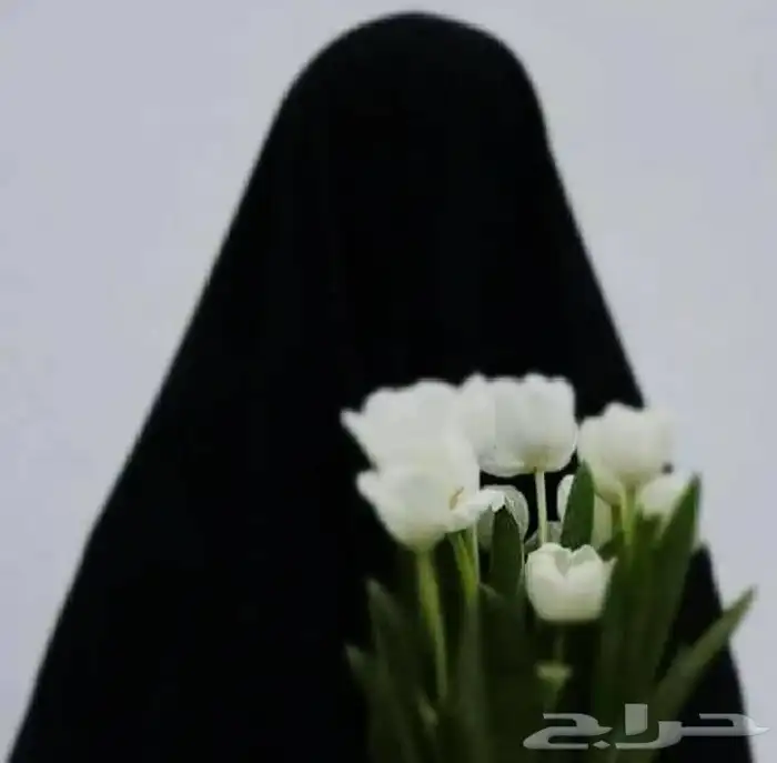 محفظه قران بالتجويدوالقاعده النورانيه للاطفال والنساءاونلاين 1