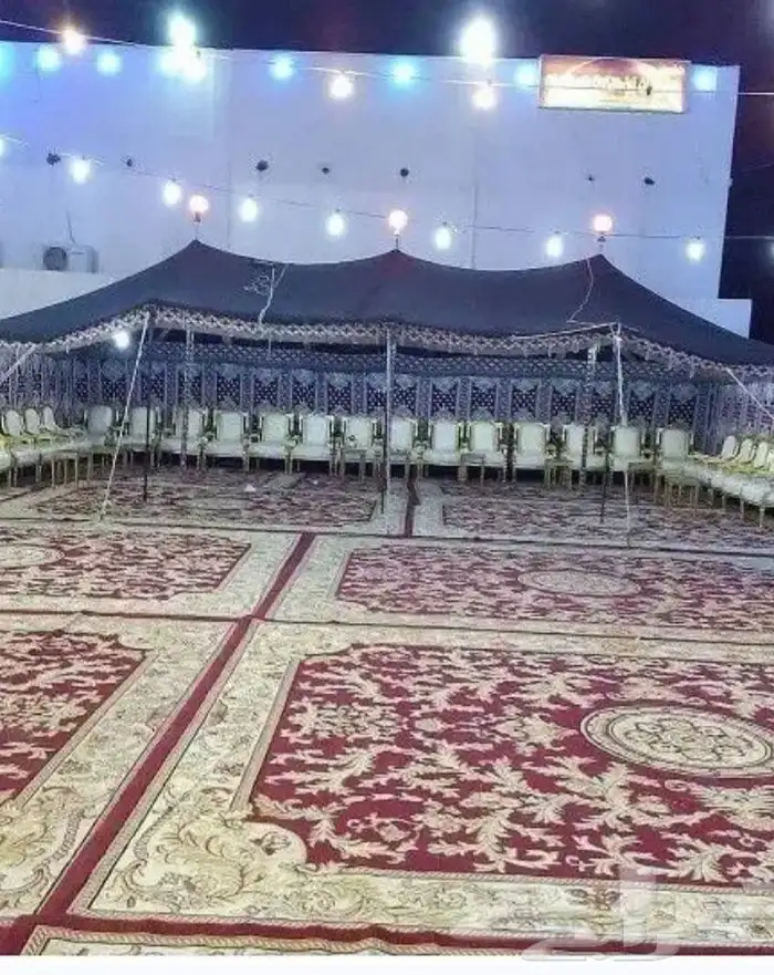 تاجير فيم 2