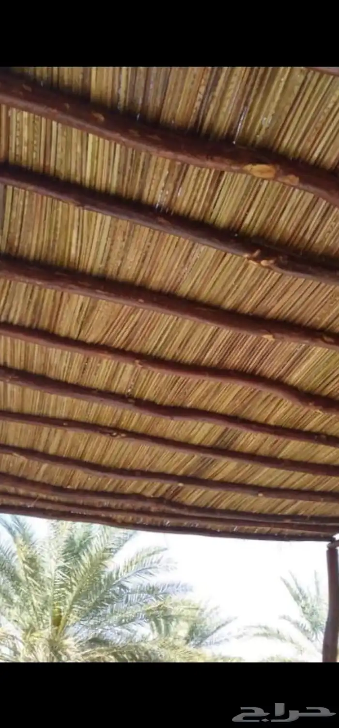 مقاول يمني لجمع انواع شغل التراث أو الشبوك أو بناء الحجر 4